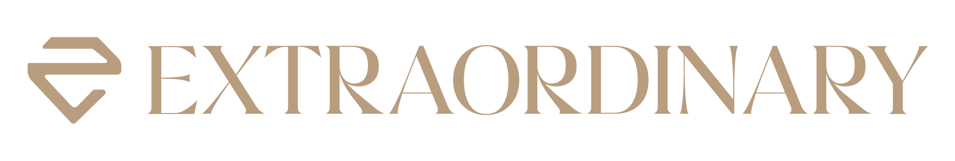 Extraordinary Network company logo